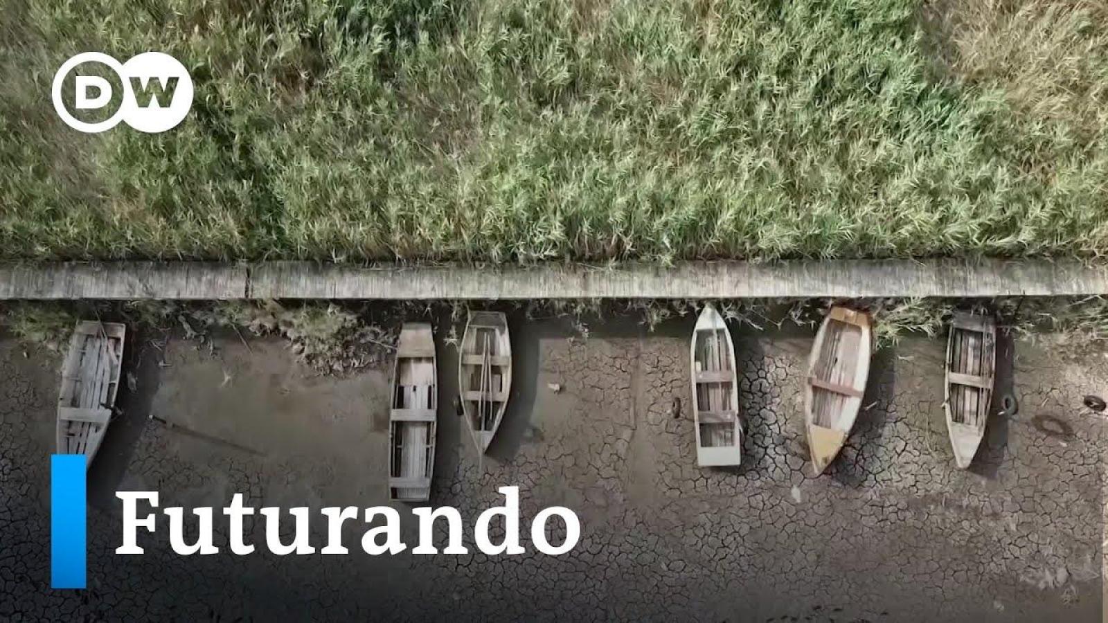 Adaptando-se às mudanças climáticas | Futurando (26/06/2023)